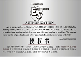 ES authorization 授权书